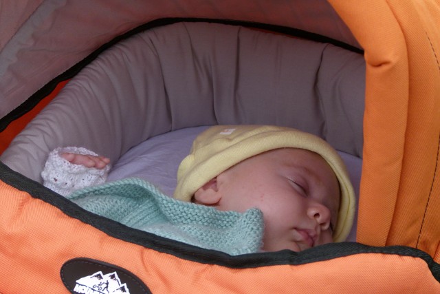 00asleep At The Park