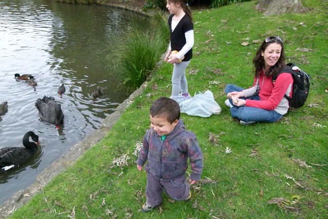 05eyal Likes The Swans