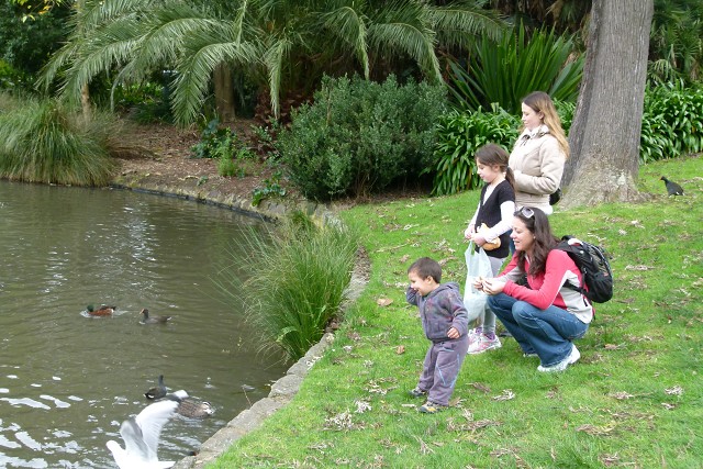 12feeding Ducks2