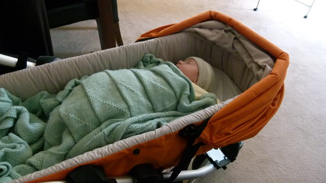 Sleeping Under Omi's Blanket(1)