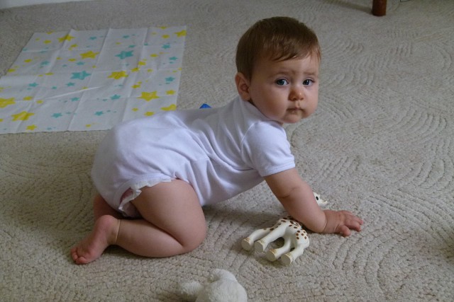 Broadbeach Learning To Crawl(1)