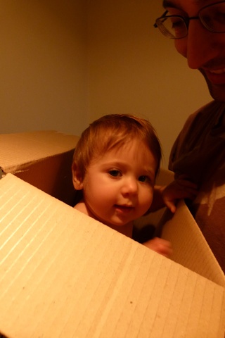Dad Put Me Back In My Box2(1)