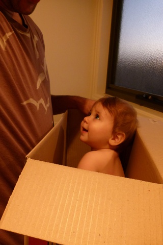 Dad Put Me Back In My Box3(1)