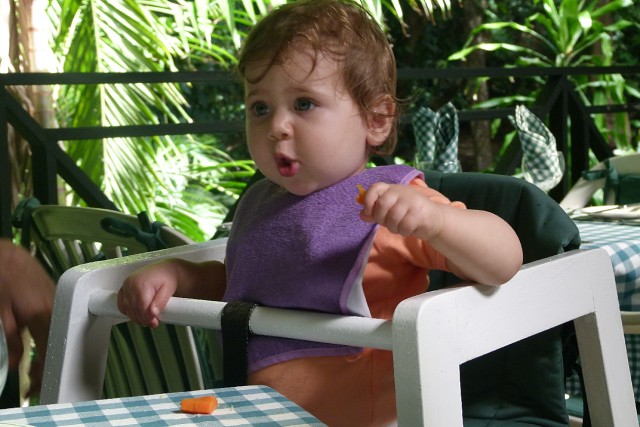 CrocodileTortoisePark (5)