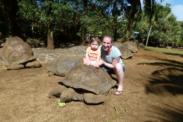 CrocodileTortoisePark (6)