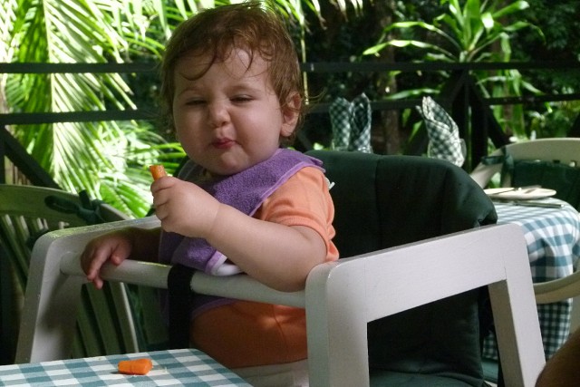 CrocodileTortoisePark (8)