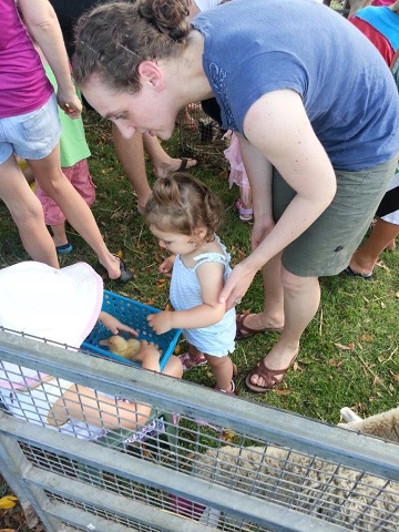 2012-12-15 Natalie Danielle Petting Zoo Duckling