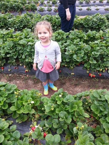 2013-12-21 Natalie Strawberry Farm Smiling
